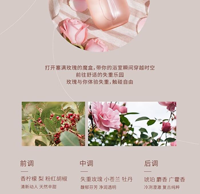Scented Shower Gel - 2 Types - #Rose - 400g
