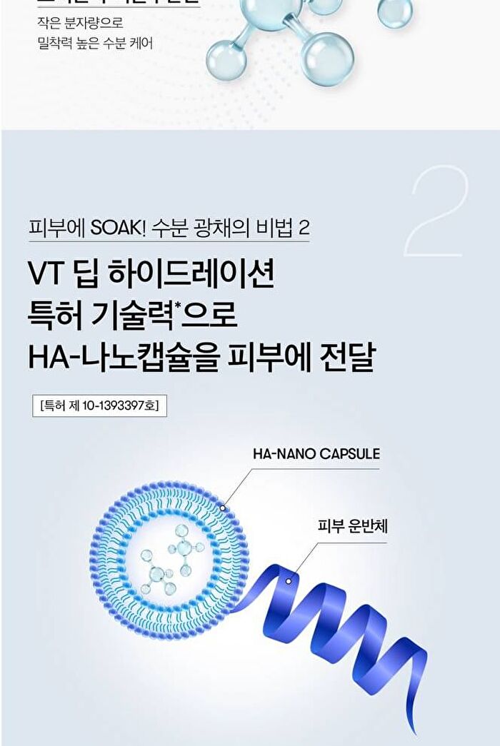 Vt Hydrop Reedle Shot 700hL 2 Step Mask - 1.5g + 27g