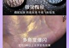 Original Artist Night Chameleon Four Color Highlight Palette - 4.8g