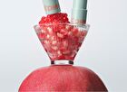 Juicy Pang Care Lip Balm - 3 Colors - #02 Coral Balm