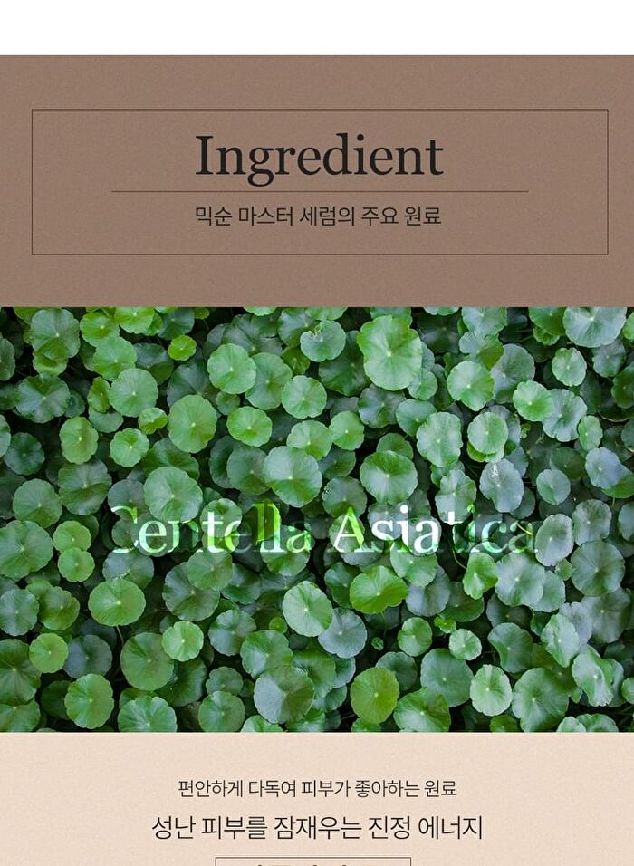 mixsoon Master Serum Mini - 30ml