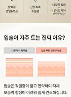 mixsoon Natural Bean Lip Mask Balm - 11g