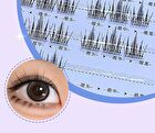 No Terrier Glue Free False Eyelashes - Camellia - #Camellia - 36 bunches