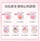Colorrose Oil Painting Gradient Blusher - 7 Types - CR762 Dream Catcher - 4g
