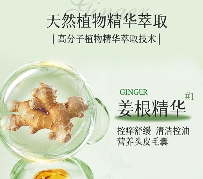 Zooly No.8 Ginger Scalp Soothing Massage Scrub - 300ml