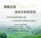 Zooly No.8 Ginger Scalp Soothing Massage Scrub - 300ml
