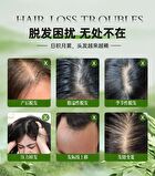 Zooly No. 9 Anti Hair Loss Scalp Care Essence - 50ml
