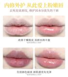 Soft Moisturizing Lip Mask - 2 Colors - #F2 Lucky Goose - 5g
