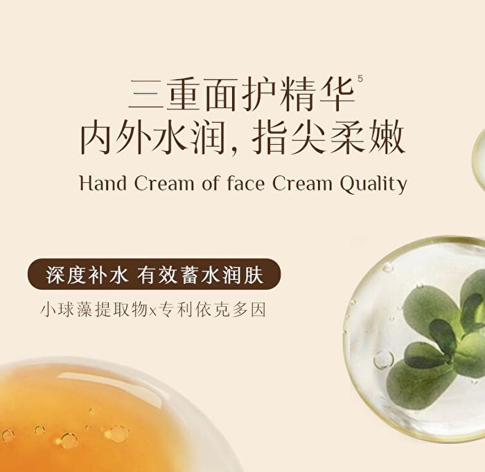Moist Hand Cream - Aix Vacation - #35ml