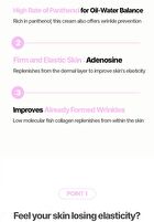 Vita A & Collagen Rich Cream - 2024 Version - 80ml