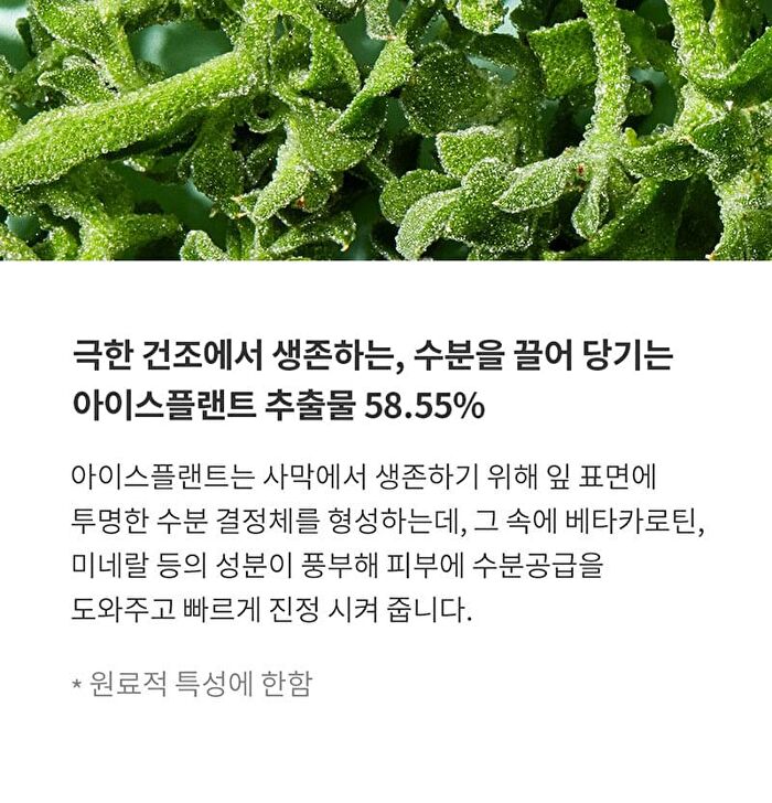 Blithe Pressed Serum Mini - 4 Types - 2024 Version - Crystal Ice Plant