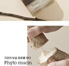 Blithe Pressed Serum Mini - 4 Types - 2024 Version - Crystal Ice Plant