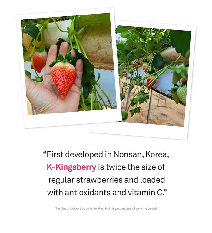 Kingsberry Vita Night Cream - 50g