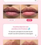 Vita Barrier Nourishing Lip Oil - 2 Types - #01 Kingsberry