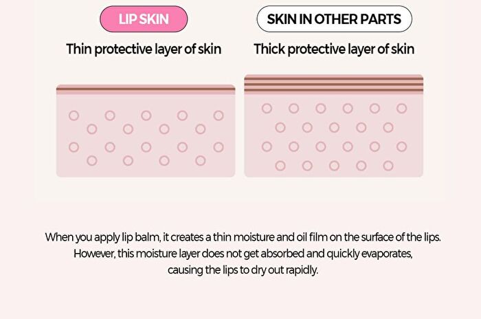 Klavuu Nourishing Care Lip Sleeping Pack - 4 Types - Melon