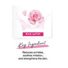 Pure Origin Toner - Anti-Aging Pink Rose - 250ml