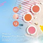 Wave Up Power Fix Blush - 01 Cinnamon