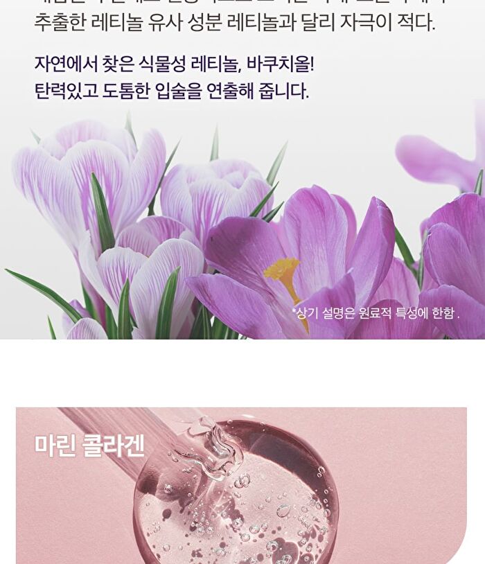 Chosungah Beauty Melting Care Lip Balm - 2 Colors - #02 Coral