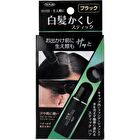 Grey Hair Color Stick - Black