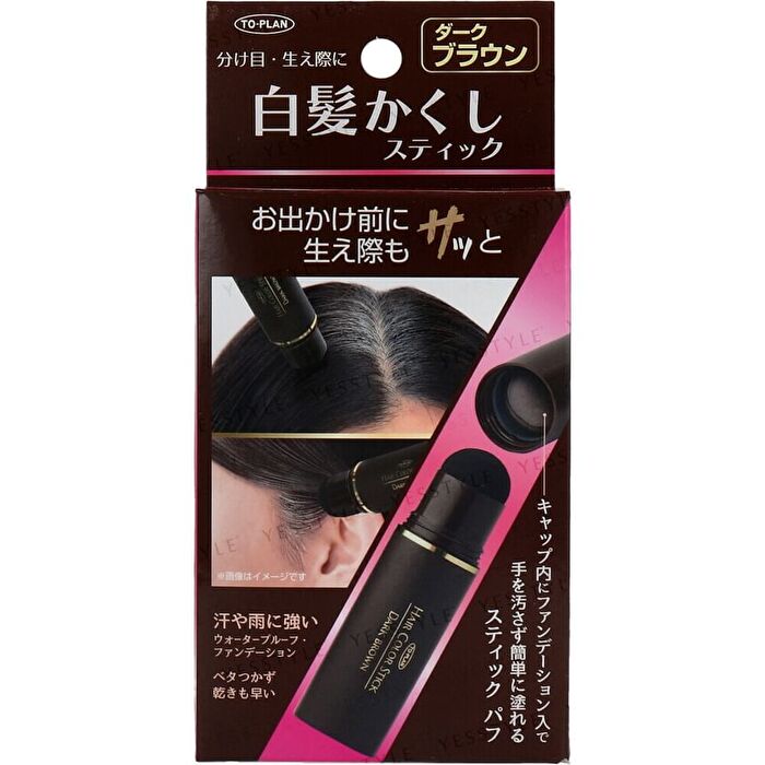 Grey Hair Color Stick - Black