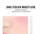 Braye Lipsleek Blur - 10 Colors - #09 Proud