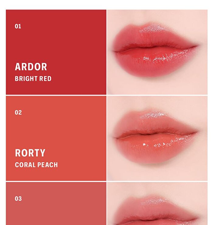 Braye Lipsleek - 10 Colors - #04 Savvy