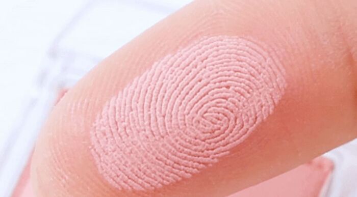 romand Slide In Single Matte - 27 Colors - M20 Daily Buckwheat