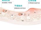 6D Hyaluronic Acid Moisturizing Soothing Water - 1pc - 100ml