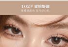 Gray Tone 4-Color Eyeshadow Palette - 4 Types - 101# Wood - 6g