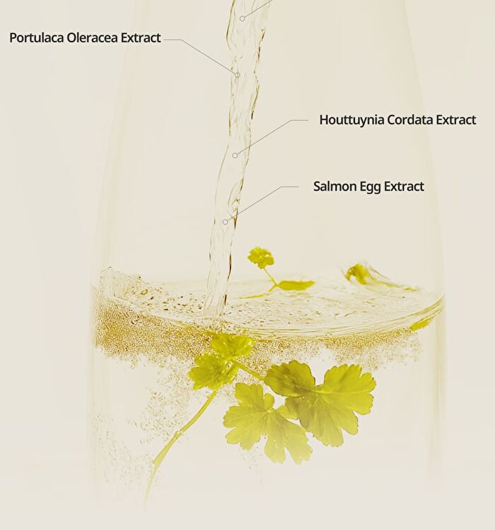 Heveblue Salmon Fruity Centella Body Wash - 300ml