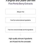Heveblue Penta Berry Panthenol Repair Concealer - 3 Colors - #13 Ivory