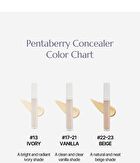 Heveblue Penta Berry Panthenol Repair Concealer - 3 Colors - #13 Ivory