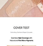 Heveblue Penta Berry Panthenol Repair Concealer - 3 Colors - #13 Ivory