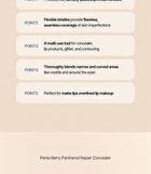 Heveblue Penta Berry Panthenol Repair Concealer - 3 Colors - #13 Ivory