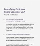 Heveblue Penta Berry Panthenol Repair Concealer - 3 Colors - #13 Ivory