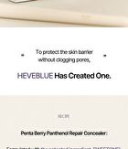 Heveblue Penta Berry Panthenol Repair Concealer - 3 Colors - #13 Ivory
