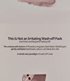 Pot Pore Peptamin Wash Off Pack - 100g
