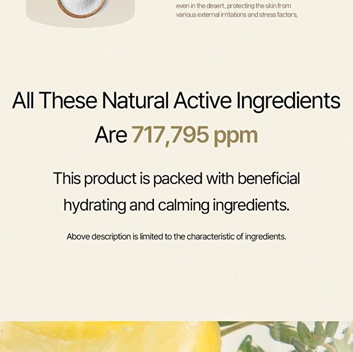 Black Yuja Bean Skin Booster Serum - 42ml