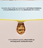 Salmon Caring Centella Light Cleansing Oil - 240ml