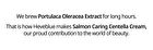 Heveblue Salmon Caring Centella Cream - 2025 Version - 100ml