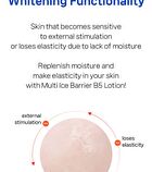 Multi Ice Barrier B5 Lotion - 2025 Version - 200ml