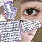 Glue Free False Eyelashes - Sunflower - #Sunflower
