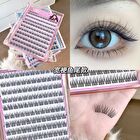 Glue Free False Eyelashes - Fishtail - #Fishtail
