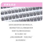 Glue Free False Eyelashes - Fishtail - #Fishtail