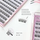 Glue Free False Eyelashes - Trilogy - #Trilogy