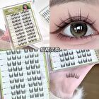 Glue Free False Eyelashes - Cat - #Cat
