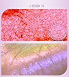 Dream Catching Collection Chameleon Eyeshadow - 1-3 - #03 Wishing Well - 1.8g