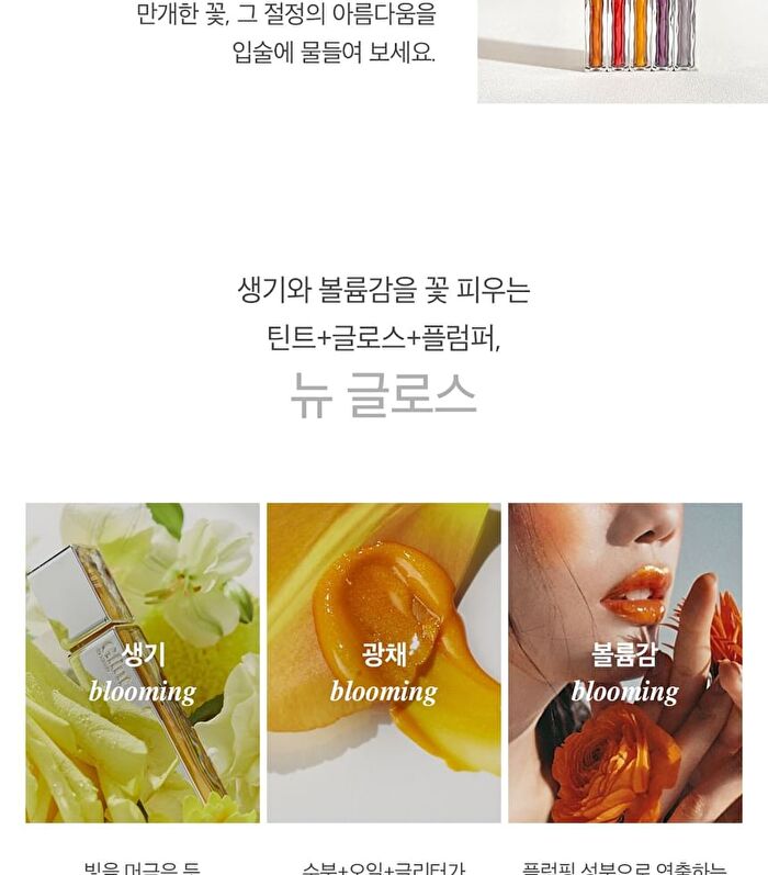 Tint Glosser - 10 Colors - #01 Clementine