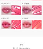 Tint Glosser - 10 Colors - #01 Clementine