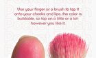 Pocket Lip & Cheek Blusher - 1-3 - #02 Guice bxo
